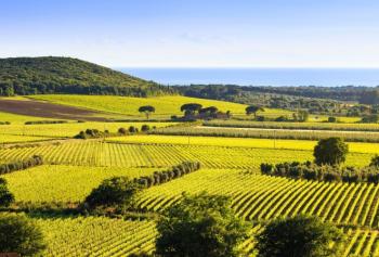 Alla scoperta di Bolgheri, la California d'Italia
