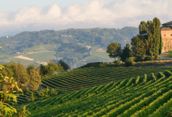 Le Langhe, terra dei grandi vini rossi d'Italia
