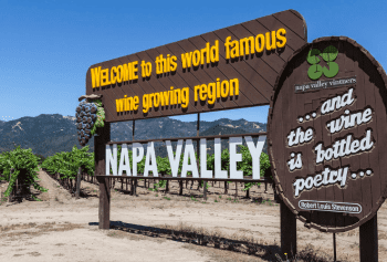 vino Napa Valley