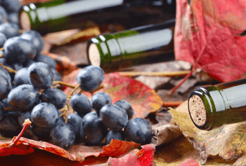 Vendemmia 2017 in Piemonte
