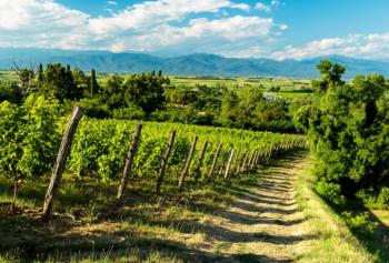 Copertina Via Postumia