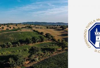 Enoteca Rosso Morellino