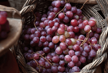 Augurio vini nel mondo
