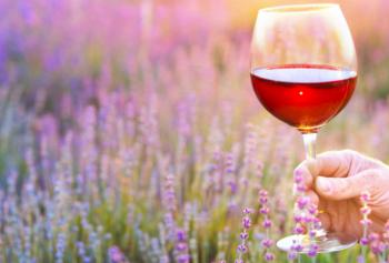 enoturismo in provenza