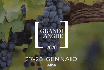 Grandi Langhe 2020