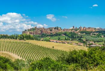 Il Grechetto nel contesto storico e culturale della viticoltura umbra