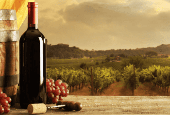 Vino Cesanese
