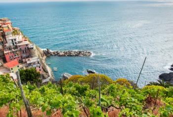 Il vino in Liguria