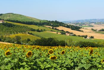 Paesaggio di Jesi nelle Marche Italia