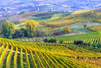 La biodiversità della vita come patrimonio culturale