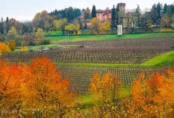 la gloriosa scuola di enologia del Friuli