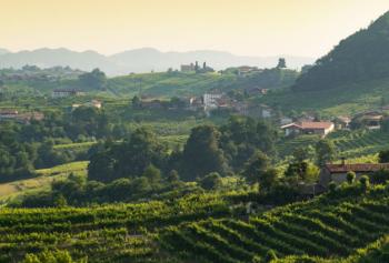 le colline del prosecco ora patrimonio unesco