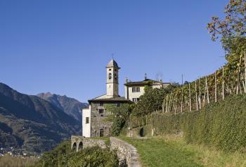 Il vino in Lombardia