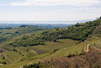 lungo la strada del vino della valpolicella