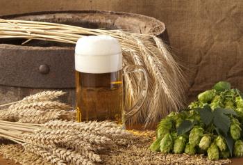 Quali sono gli ingredienti della birra