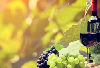 master comunicare vino