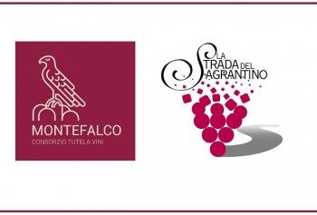 Banchi d'assaggio, degustazioni guidate ed appuntamenti unici in cantina: in Umbria con "Abbinamenti Montefalco" protagonisti vino, gastronomia, arte e musica