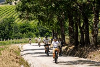 Montefalco Green - Enoturismo sostenibile in Umbria