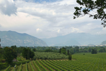 Alla scoperta della Franciacorta: il percorso verde