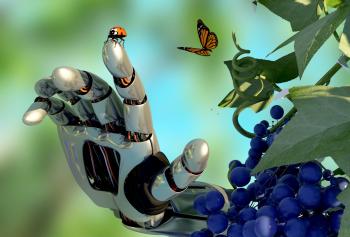 quale futuro per la viticoltur italiana