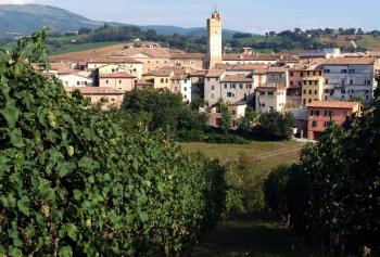 strada del verdicchio dei castelli di Jesi