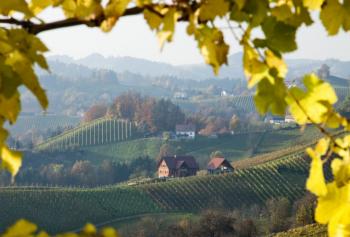 La strada del Cesanese di Olevano Romano