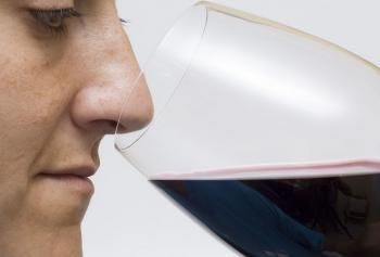 tannini nel vino