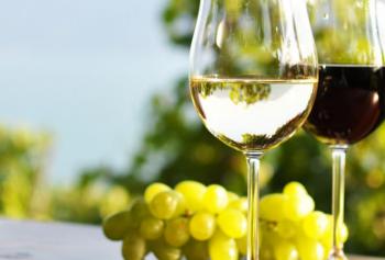 calici-di-stelle-2018-Sardegna