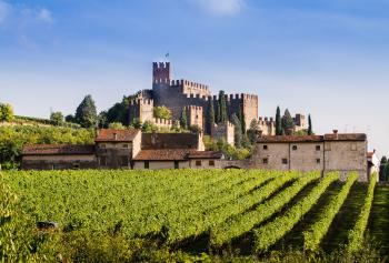 Castello di Soave con vigneti