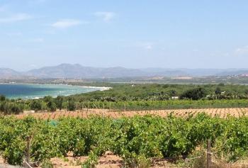 Sardegna fra vigneti, mare e Nuraghi