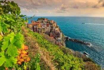 Il vino in Liguria