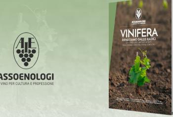 Vinifera ripartiamo dalle radici