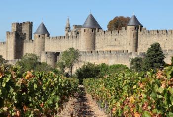 Il vino ai tempi del Medioevo