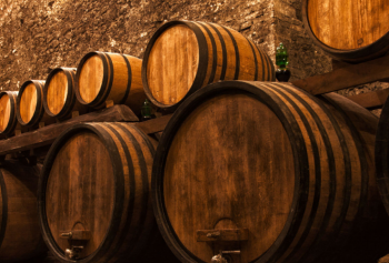 Previsioni per la vendemmi 2020 in Toscana