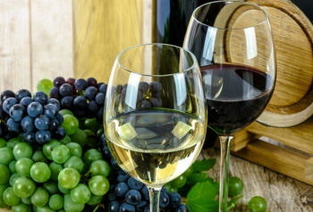 I dati della vendemmia 2019