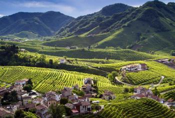 Weekend in Cantina 2020