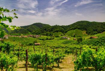 “Weekend in cantina” sulla strada del Prosecco