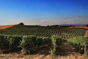 weekend per cantine in Toscana