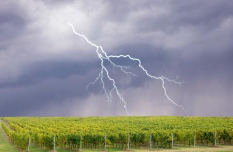 Al clima non si comanda