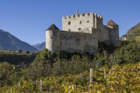  Il vino in Trentino-Alto Adige, tra innovazione e eccellenza