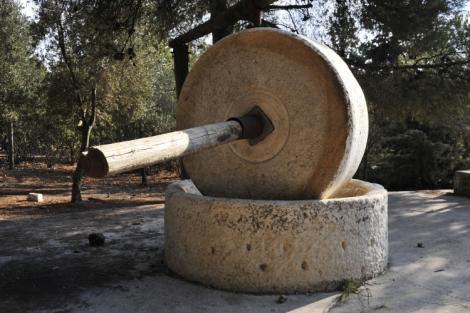 La produzione dell'olio nell'antichità