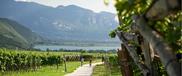 In bicicletta lungo la Strada del vino dell'Alto Adige
