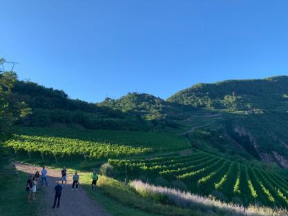 A tutto "Müller" lungo la Strada del Vino e dei Sapori del Trentino