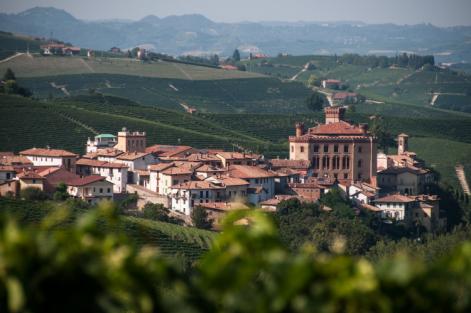 Agosto 2017 al Wine Museum di Barolo