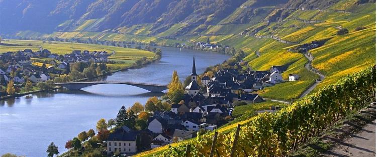 Alla scoperta del Rheingau e della Mosella, patria del Riesling