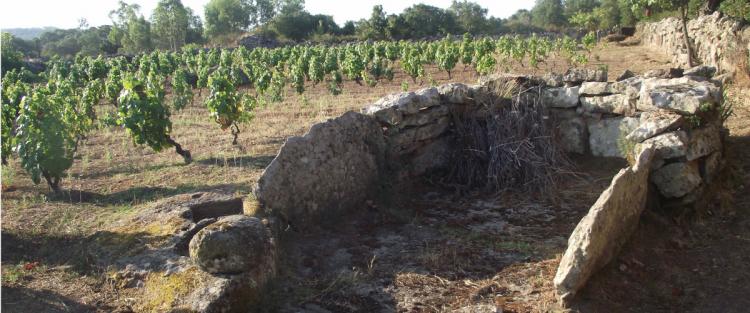 Sos lacos de catzigare: i palmenti rupestri della Sardegna centrale