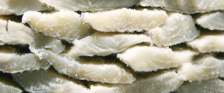 Itinerario enogastronomico nella provincia di Pisa