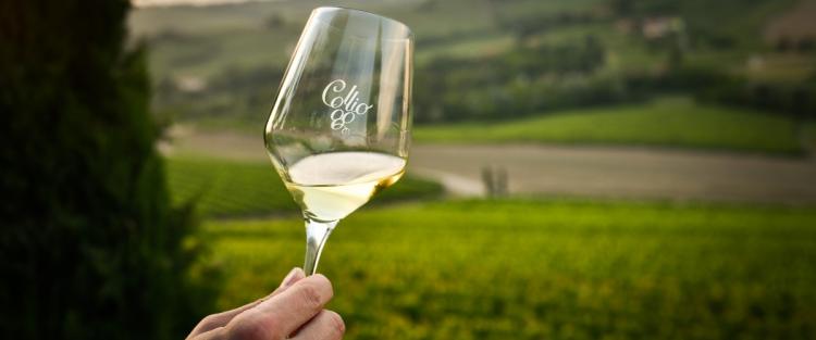 Collio Day 2025: L’Italia si tinge di giallo