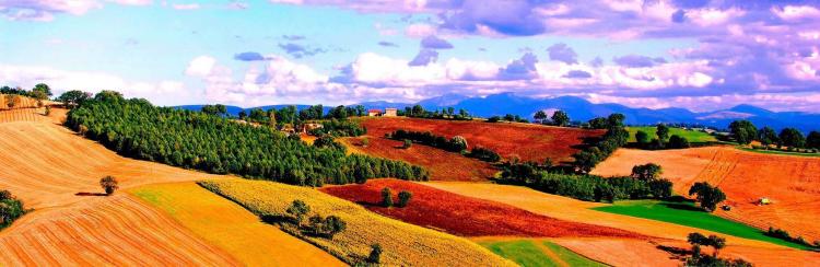 Conosci il Verdicchio di Matelica?