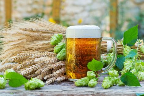 Sostenibilità ambientale: dagli scarti della birra si ottengono materiali preziosi